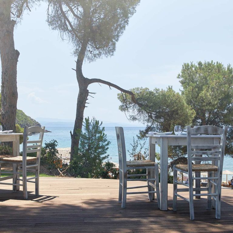 Nest Greek Fish Restaurant